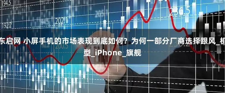 东启网 小屏手机的市场表现到底如何？为何一部分厂商选择跟风_机型_iPhone_旗舰