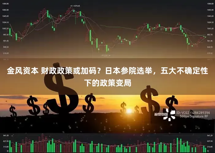 金风资本 财政政策或加码？日本参院选举，五大不确定性下的政策变局