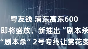 粤友钱 浦东高东6000多株樱花即将盛放,新推出“剧本杀”2号专线让赏花变好玩