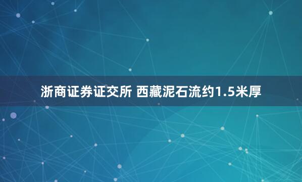 浙商证券证交所 西藏泥石流约1.5米厚