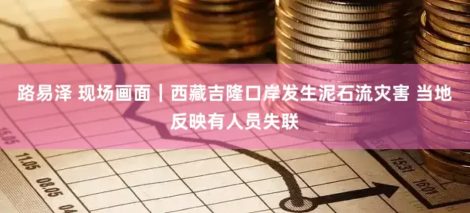 路易泽 现场画面｜西藏吉隆口岸发生泥石流灾害 当地反映有人员失联